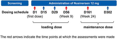 Exploratory evaluation of an eye-tracking system in patients with advanced spinal muscular atrophy type I receiving nusinersen